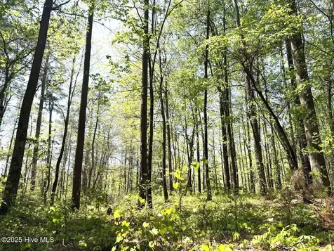 Lot 5 Mixon Creek Drive Bath NC 27808