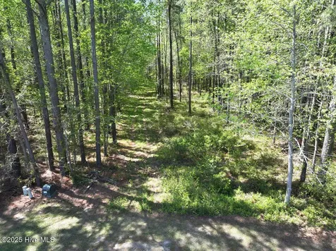 Lot 5 Mixon Creek Drive Bath NC 27808