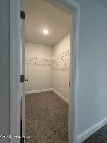 317 Harborwood Street Lillington NC 27546