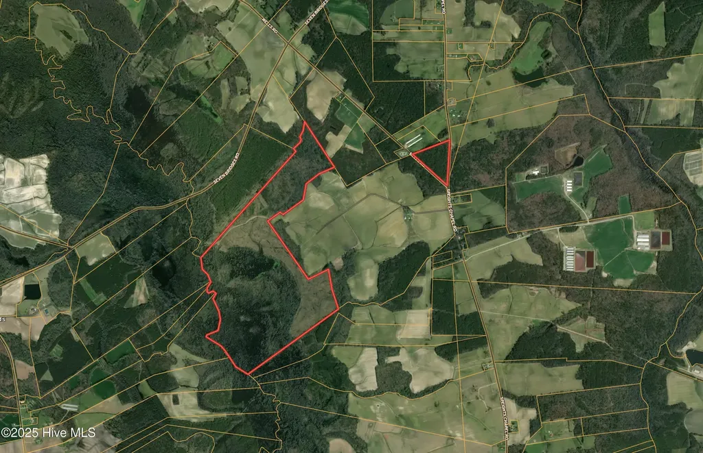 Off Speights Chapel Road Whitakers NC 27891