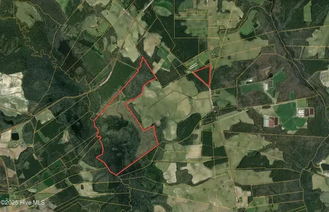 Off Speights Chapel Road Whitakers NC 27891