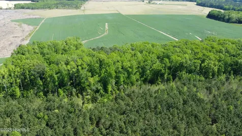 Off Speights Chapel Road Whitakers NC 27891