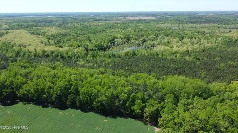 Off Speights Chapel Road Whitakers NC 27891