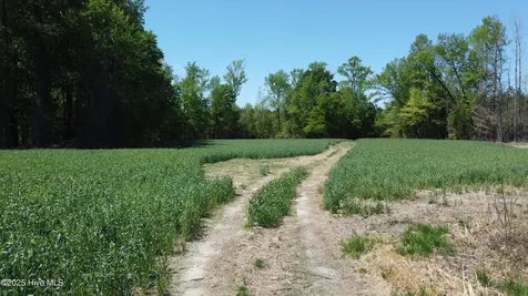 Off Speights Chapel Road Whitakers NC 27891