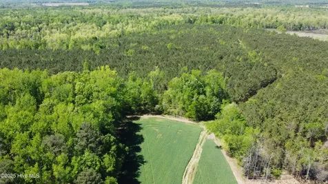 Off Speights Chapel Road Whitakers NC 27891