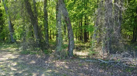 Off Speights Chapel Road Whitakers NC 27891