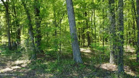 Off Speights Chapel Road Whitakers NC 27891