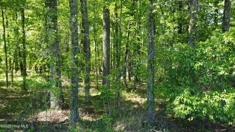 Off Speights Chapel Road Whitakers NC 27891