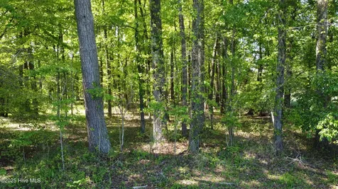 Off Speights Chapel Road Whitakers NC 27891