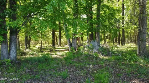 Off Speights Chapel Road Whitakers NC 27891