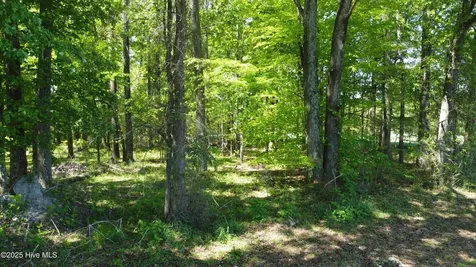 Off Speights Chapel Road Whitakers NC 27891