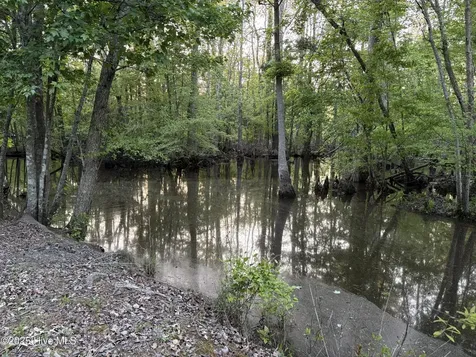Off Speights Chapel Road Whitakers NC 27891