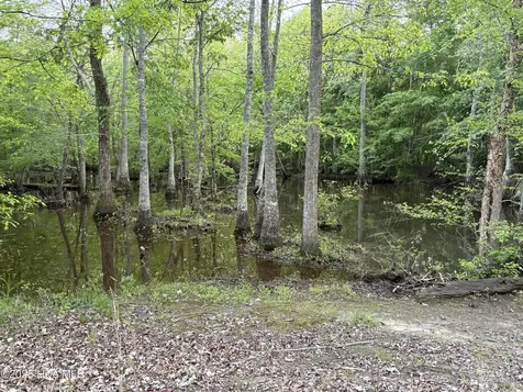 Off Speights Chapel Road Whitakers NC 27891