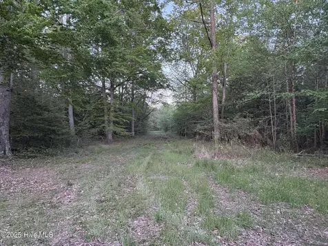 Off Speights Chapel Road Whitakers NC 27891