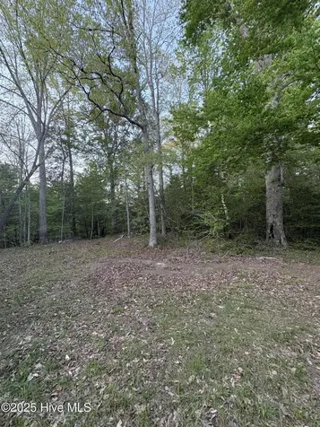 Off Speights Chapel Road Whitakers NC 27891