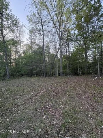 Off Speights Chapel Road Whitakers NC 27891