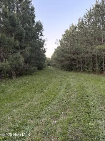 Off Speights Chapel Road Whitakers NC 27891