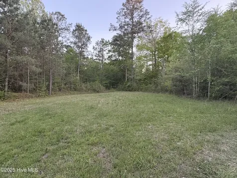 Off Speights Chapel Road Whitakers NC 27891