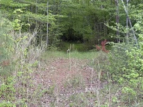 Off Speights Chapel Road Whitakers NC 27891