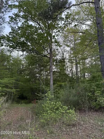 Off Speights Chapel Road Whitakers NC 27891