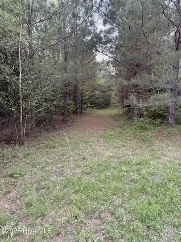 Off Speights Chapel Road Whitakers NC 27891