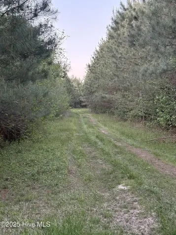Off Speights Chapel Road Whitakers NC 27891