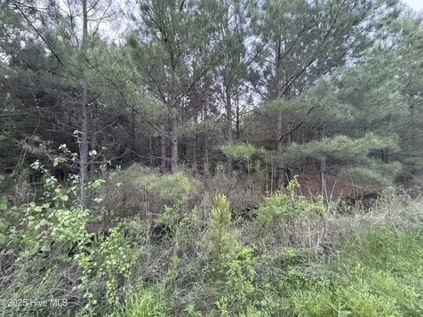 Off Speights Chapel Road Whitakers NC 27891