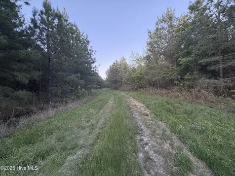 Off Speights Chapel Road Whitakers NC 27891