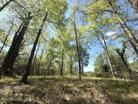 Lot 48 Sunset Point Belhaven NC 27810