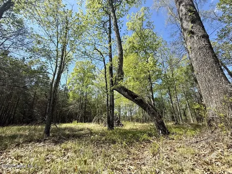 Lot 48 Sunset Point Belhaven NC 27810