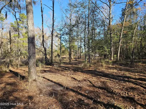 47 Sunset Point Road Belhaven NC 27810