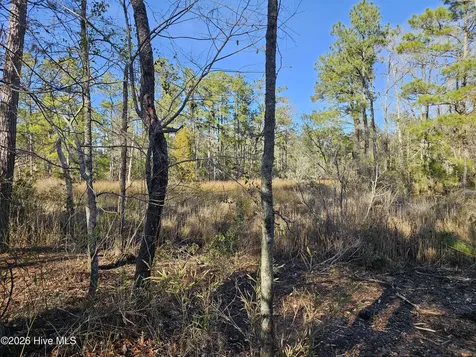 47 Sunset Point Road Belhaven NC 27810
