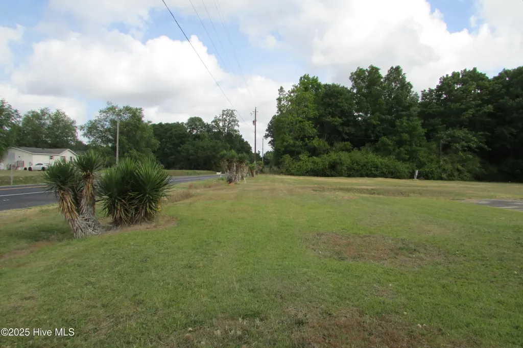 0 N Peavine North Road Clinton NC 28328