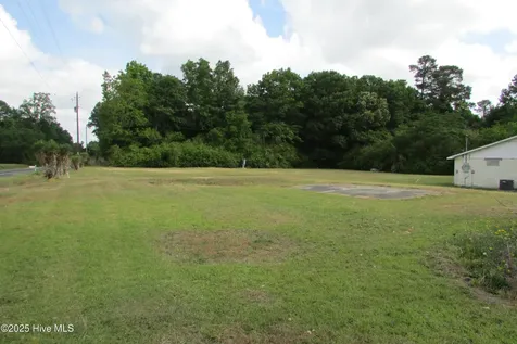 0 N Peavine North Road Clinton NC 28328