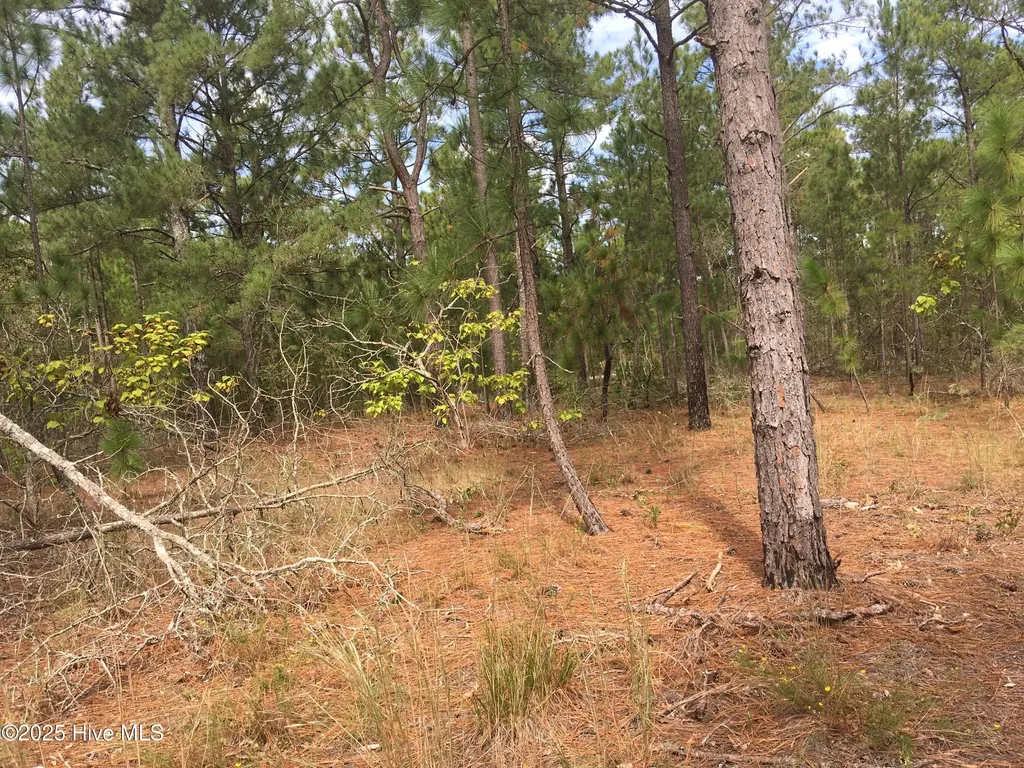 Tbd Plank Road Robbins NC 27325