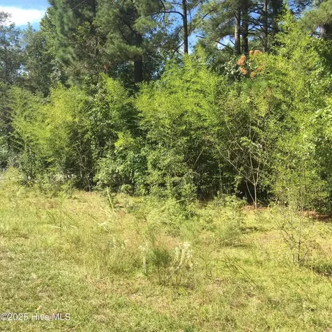 Tbd Plank Road Robbins NC 27325