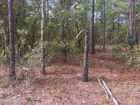 Tbd Plank Road Robbins NC 27325