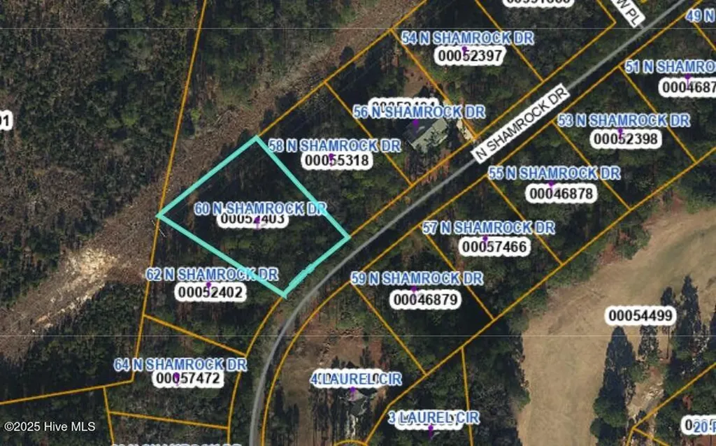 60 N Shamrock Drive Jackson Springs NC 27281