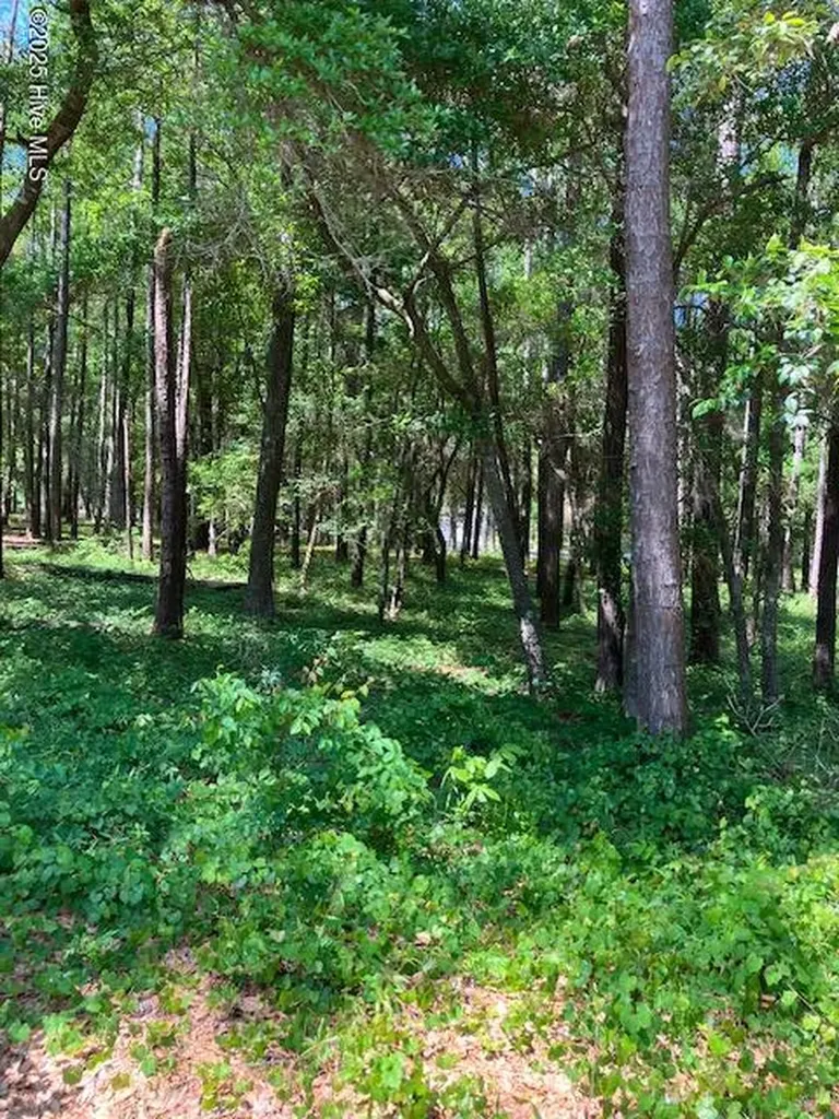 3287 Mooring Drive SE Bolivia NC 28422