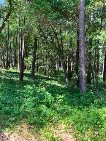 3287 Mooring Drive SE Bolivia NC 28422