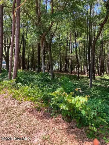 3287 Mooring Drive SE Bolivia NC 28422
