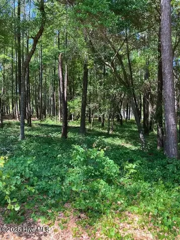 3287 Mooring Drive SE Bolivia NC 28422