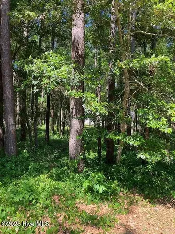 3287 Mooring Drive SE Bolivia NC 28422