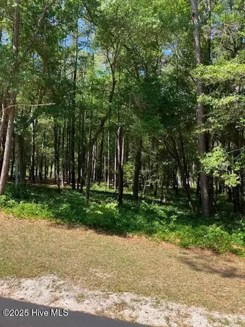 3287 Mooring Drive SE Bolivia NC 28422