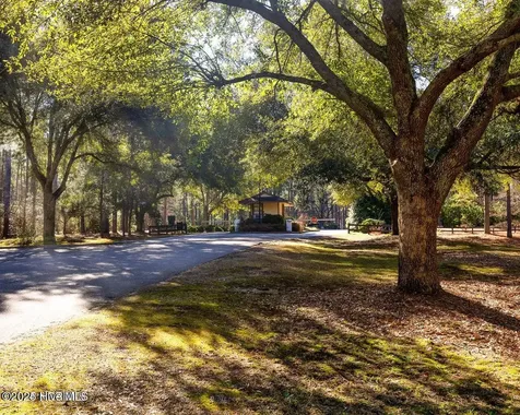 30080 Loblolly Court Wagram NC 28396