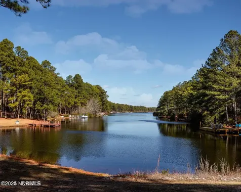 30080 Loblolly Court Wagram NC 28396