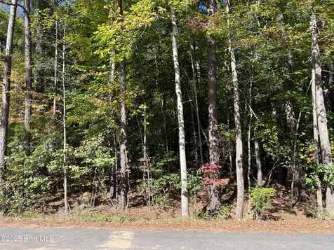 115 Cochise Drive Bunn NC 27508