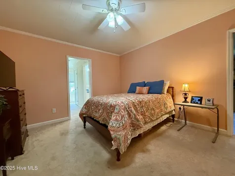 3773 Bear Grass Road Williamston NC 27892