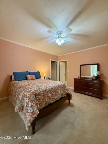 3773 Bear Grass Road Williamston NC 27892