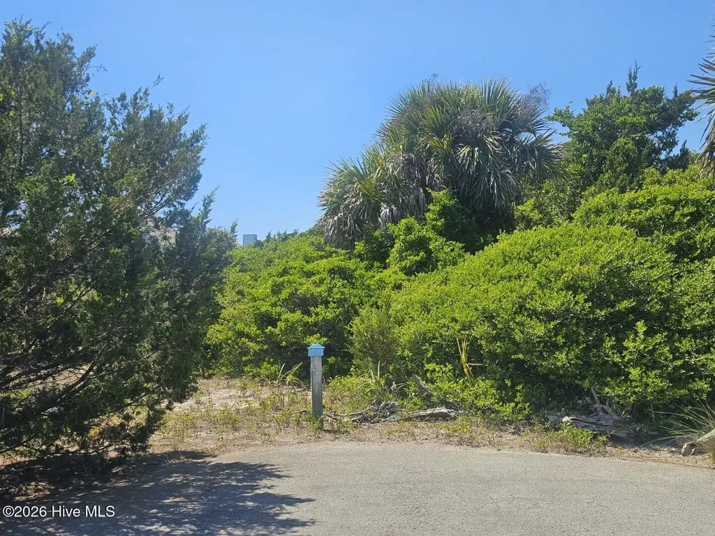 26 Black Skimmer Trail Bald Head Island NC 28461